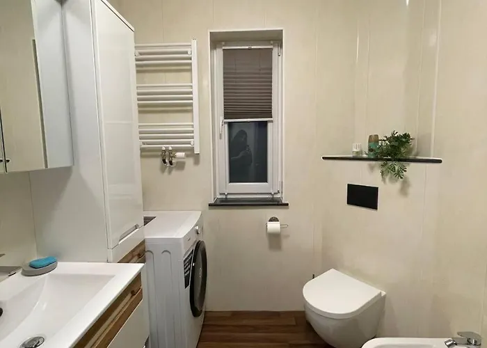 3 In Einem Haus, Ideal Bis 14 Personen Apartment Weissenthurm